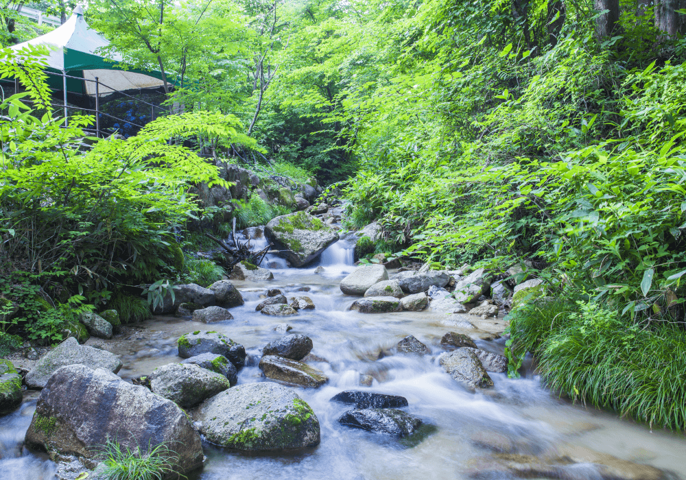 设施内的小川