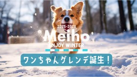 狗狗滑坡道來啦！