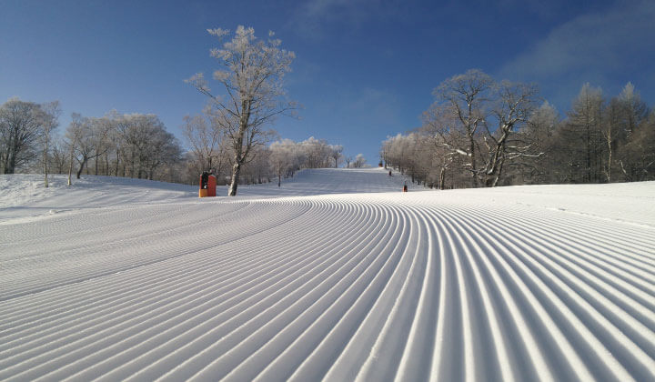 配备人造雪花机！稳定降雪